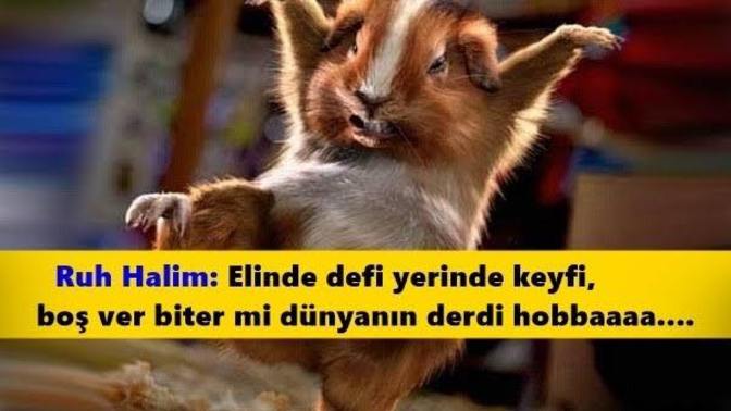 Gün içerisinde ; ruh halin kaç defa değişir?