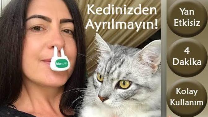 Kediye alerjim var, ne yapacağım?