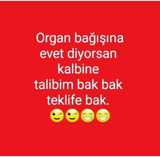 Karşı cinse söylenebilecek bir tane asılma cümlesi yazar mısınız?