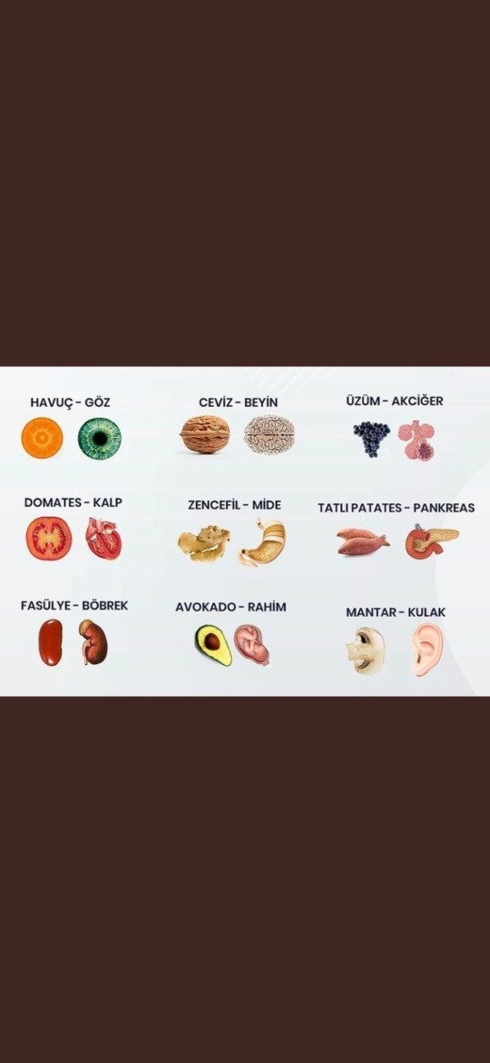 Benzediği organa iyi gelen besinleri biliyormusunuz?