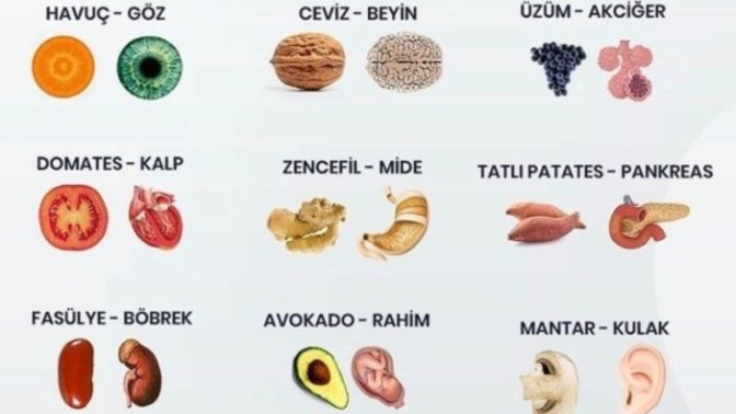 Benzediği organa iyi gelen besinleri biliyormusunuz?