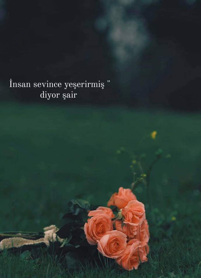 İlerde çocuğunuz evlendiğinde ona ne gibi telkinlerde bulunursunuz?