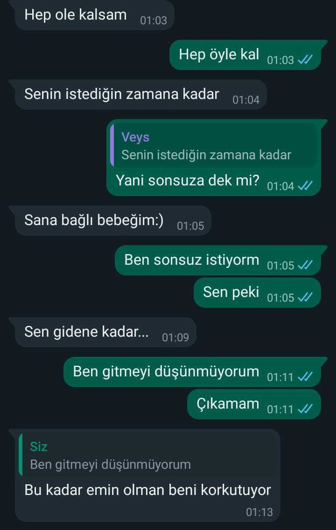 Ne demek istiyor sizce arkadaşlar?