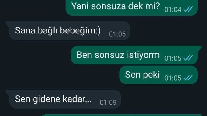 Ne demek istiyor sizce arkadaşlar?