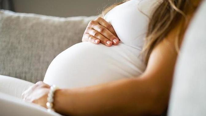 Anne karnındaki bebek ne zaman, hangi ay anne yediklerinden beslenir?