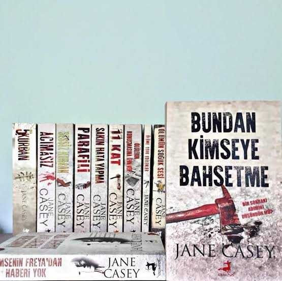 Seri kitap okunurken ara verip başka kitaplar okunur mu?