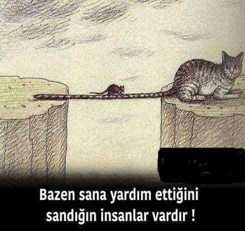 İnsanlara yardım eder misiniz?