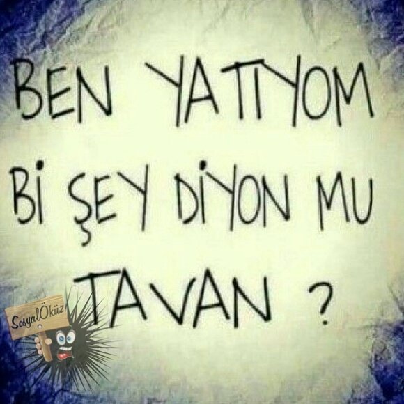 Siz uyumayıp neler yapıyorsunuz?