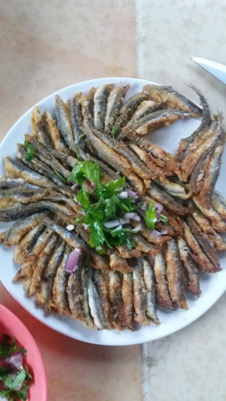 Hamsi tava severmisiniz?