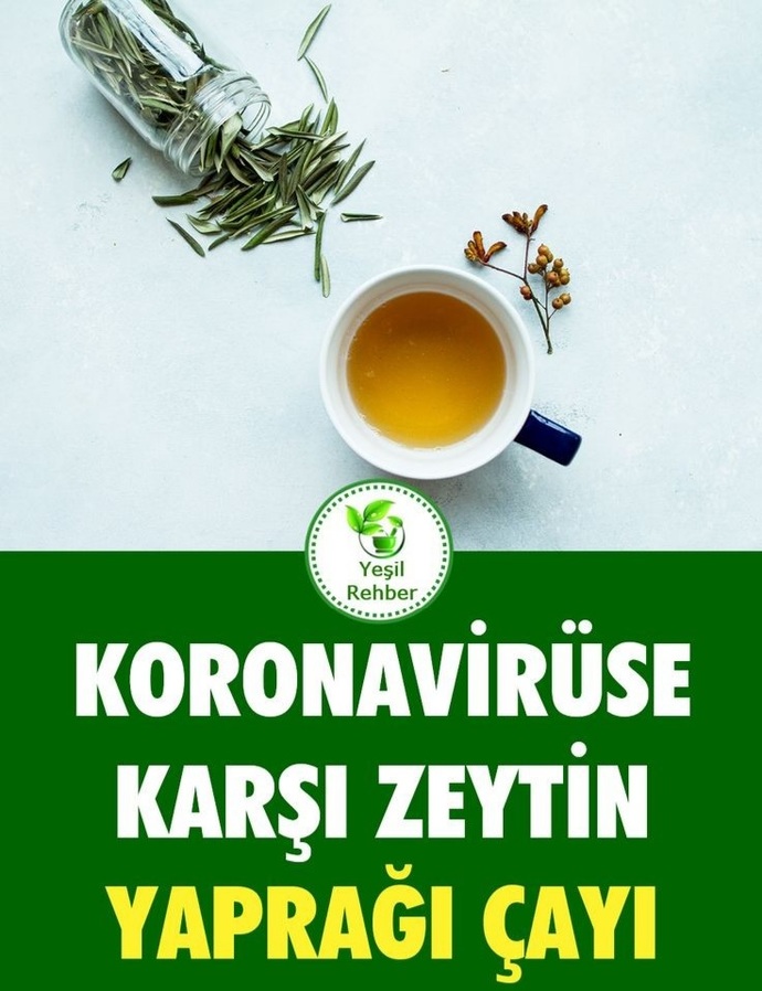 Zeytin polenine alerjisi olanlar zeytin yaprağı tüketebilir mi?