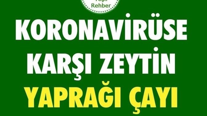 Zeytin polenine alerjisi olanlar zeytin yaprağı tüketebilir mi?