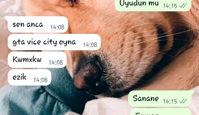 Gta Vice City oynuyorum diye ezik mi oluyorum?
