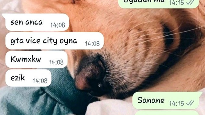 Gta Vice City oynuyorum diye ezik mi oluyorum?