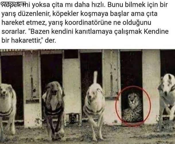 Birileri sürekli size çatıyorsa nasıl çözüm bulursunuz?