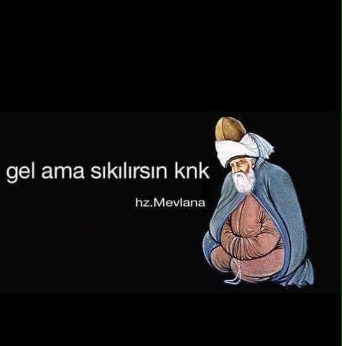 Yaşadığınız şehiri seviyor musunuz?