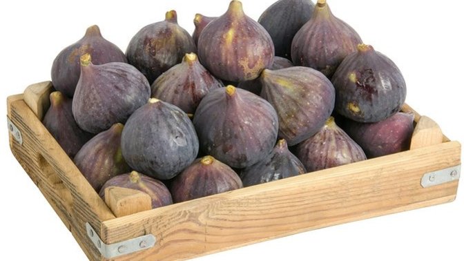 Türkiye de Yetiştirilen İnciri İngiltere Neden Daha Ucuza Yiyor?