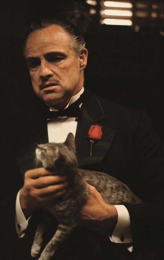 En sevdiğiniz dizi/film karakteri kim 🎬?