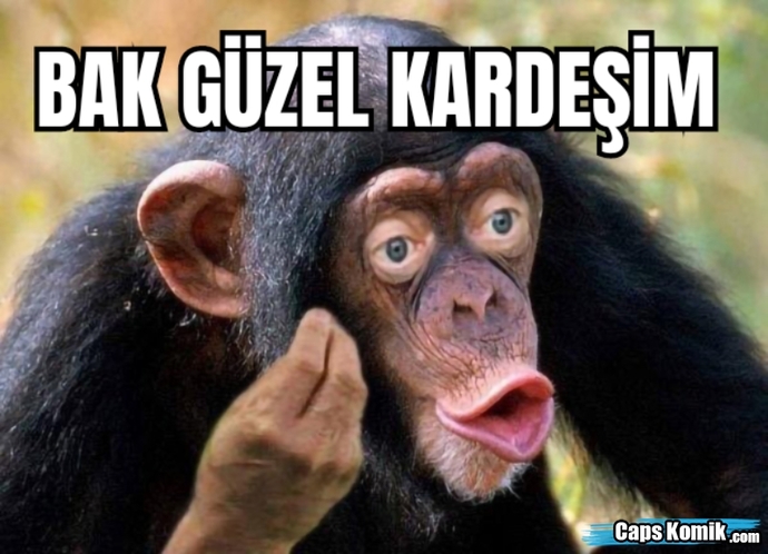 Iphone'un neden daha iyi olduğunu anlatmaya başlarkene
