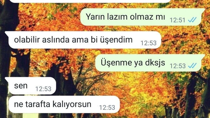 Bu kız neden böyle yapıyor resimlerle anlatıyorum?