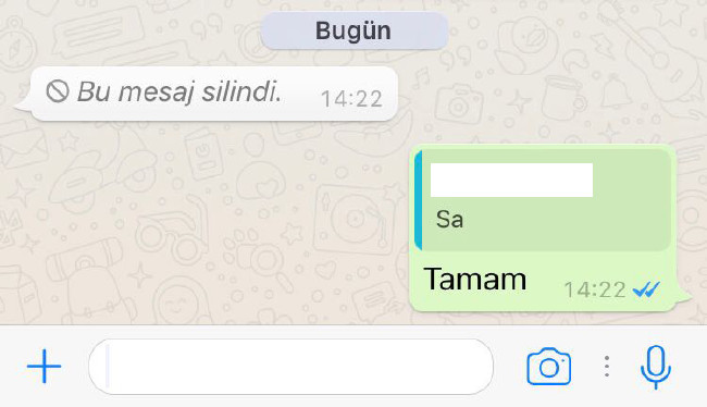 WhatsApp mesajı atıp silenlere ne yapmak isterdin?