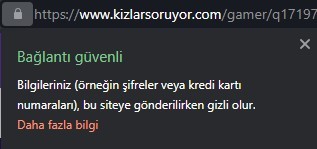 Site güvenliğini kilit butonuyla kontrol edebilirsin.