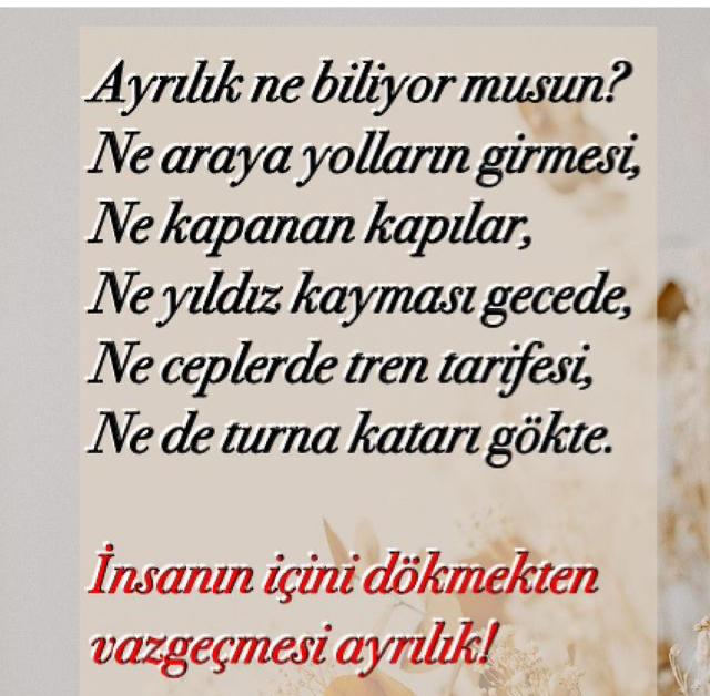 Sevdiğiniz şiirin en vurucu cümlesi nedir?
