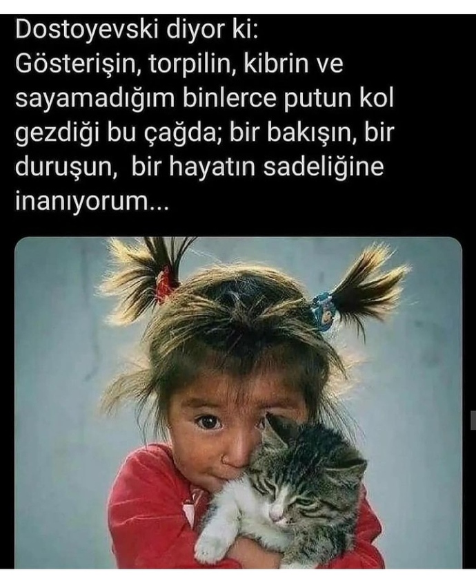 Hayatınızda kaç putunuz var?