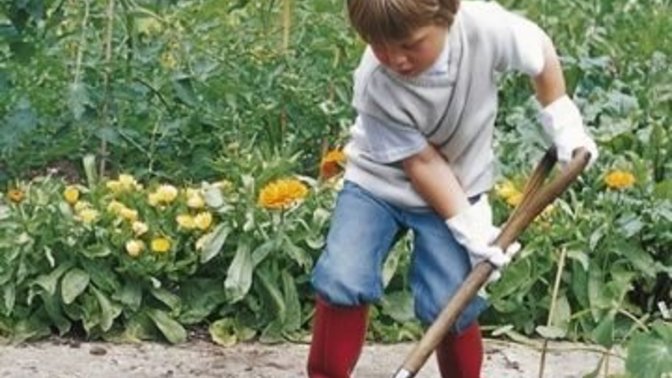 Sizce nasıl eski çocuklar bağda bahçede şimdiki kadar eğitim göremediği halde şimdiki birçok çocuk kadar zeki olabilmişler?