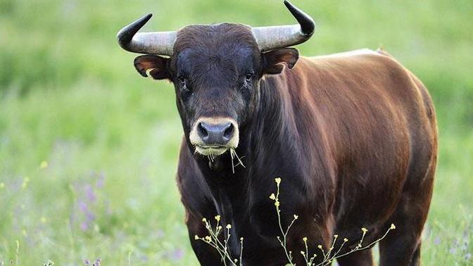 Burcunuza karşı insanlardan en çok nelerden yana şikayet duyarsınız?