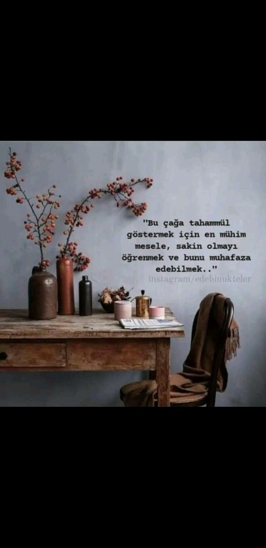 Sakin misiniz tez canlı mi?