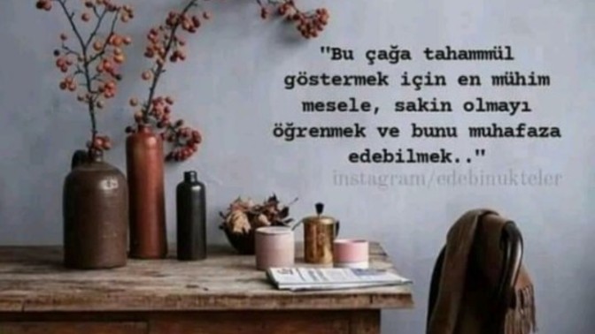 Sakin misiniz tez canlı mi?