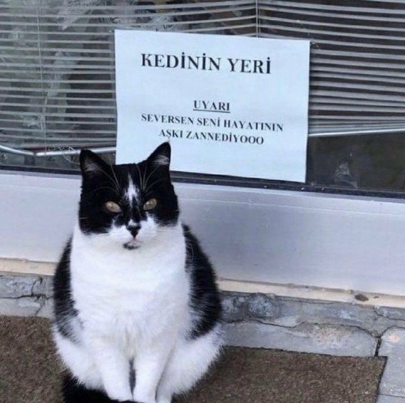 Şu an kafamın içi Bayhan gibi. Sizin modunuz nedir?