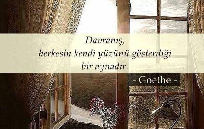 Davranış , herkesin kendi yüzünü gösterdiği bir aynadır ! sözüne katılıyor musunuz?