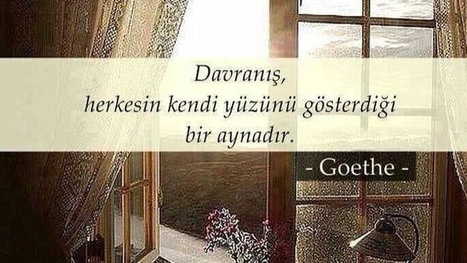 Davranış , herkesin kendi yüzünü gösterdiği bir aynadır ! sözüne katılıyor musunuz?