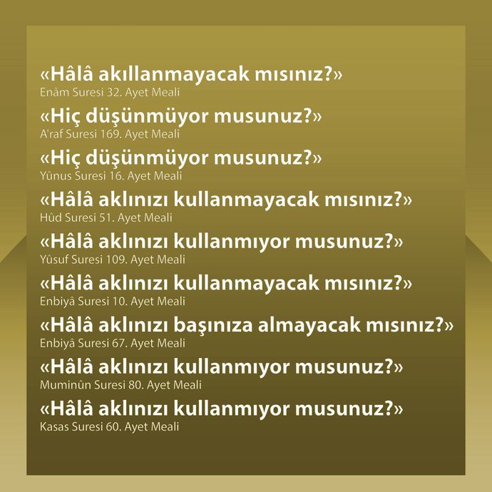 Dünyaya davana sahip çıkmak için gönderildin.