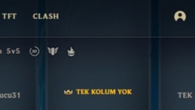 Arkadaşlarınızla oyun oynarken nicklerinizin uyumlu olmasına dikkat eder misiniz?