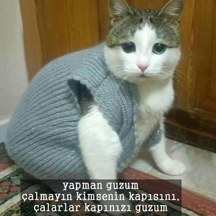 Gizli ilişki yaşamak bazılarına neden bu kadar haz verir?