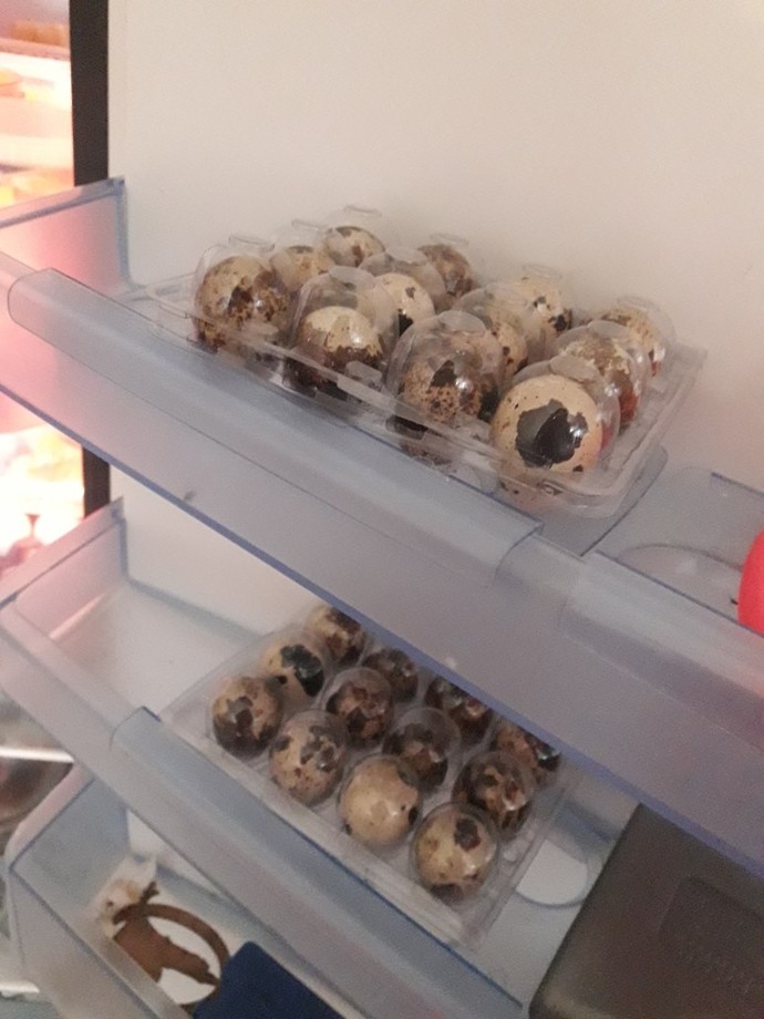 Bıldırcın yumurtasının tadı güzel mi?