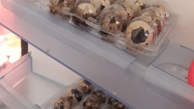 Bıldırcın yumurtasının tadı güzel mi?