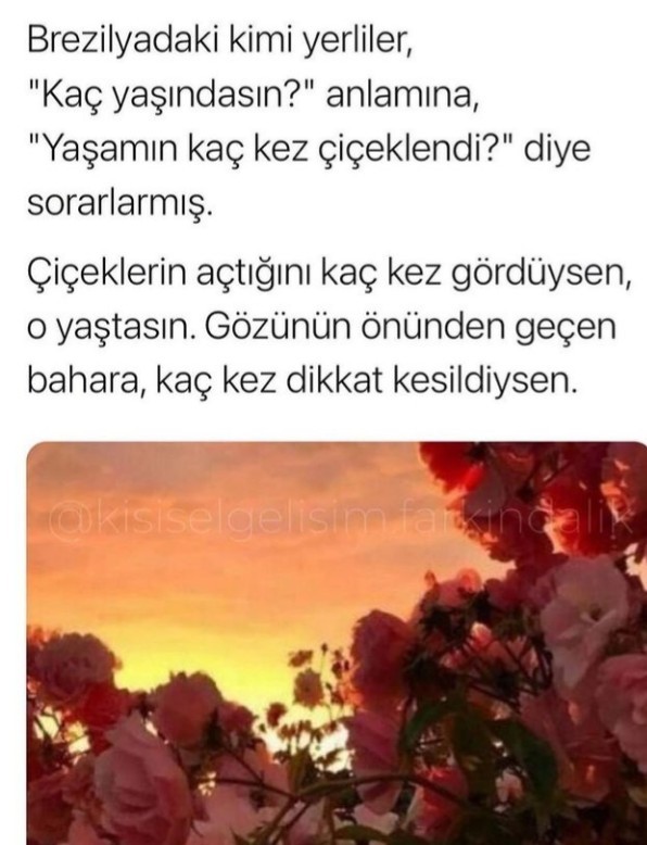 Yaşamınız kaç kez çiçeklendi?