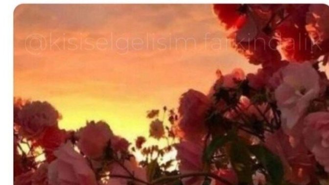 Yaşamınız kaç kez çiçeklendi?