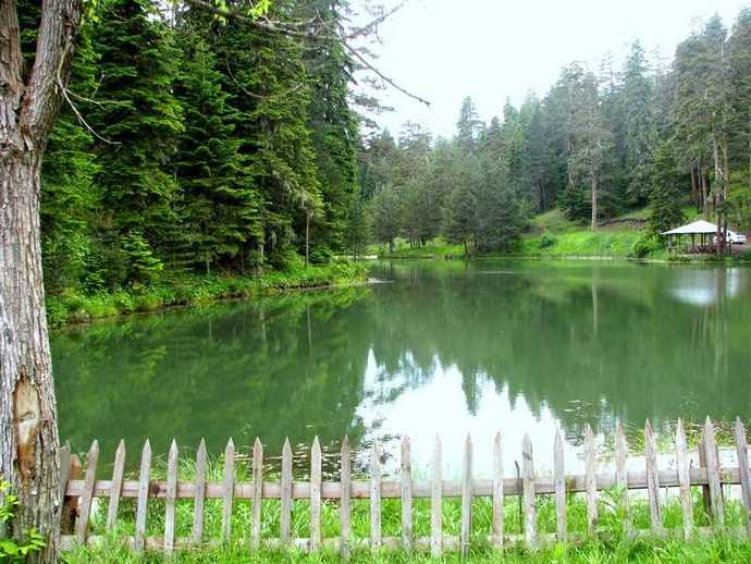 Tosya Yeşil Göl iyi bir kamp tercihi olabilir mi?