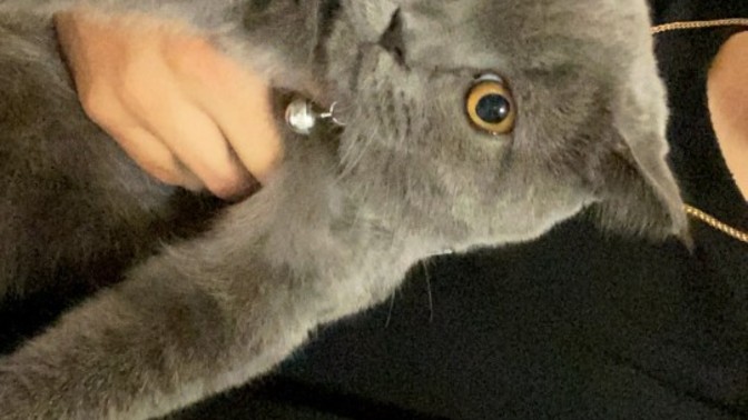 Sizce bu ne suçu işlemiş?