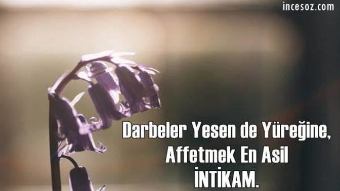 Bu zamana kadar içinizde hiç intikam duygusu taşıdınız mı?