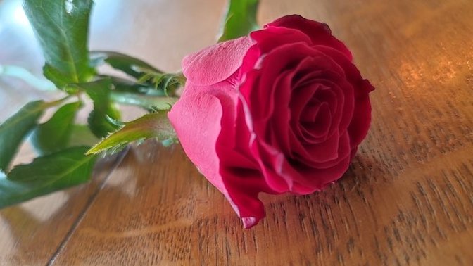 Erkekler neden "romantik olun" dediğimizde gül almak geliyor aklınıza ?