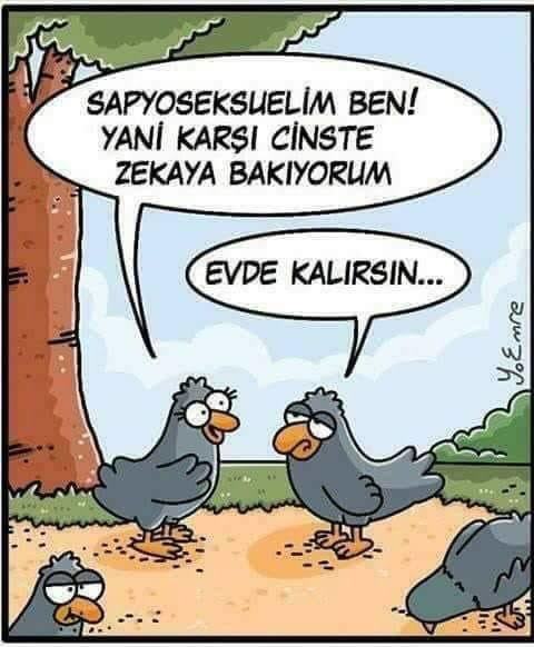 Sapyoseksüller kitap okuyanlardan mi çıkıyor genelde?