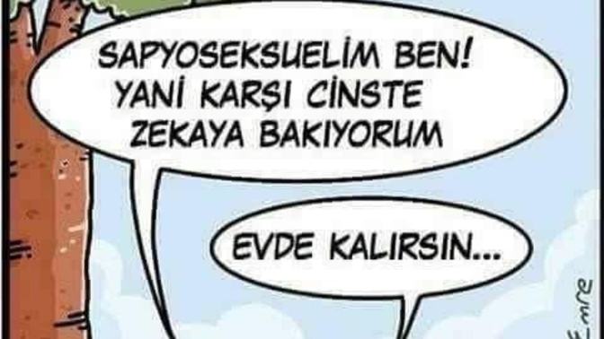 Sapyoseksüller kitap okuyanlardan mi çıkıyor genelde?