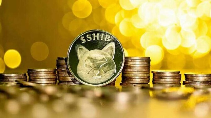 Shiba İnu'ya yatırım yaptınız mı? Yapar mısınız?