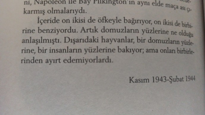 Kitaplarda okuduğunuz en can yakıcı sözler nelerdi?