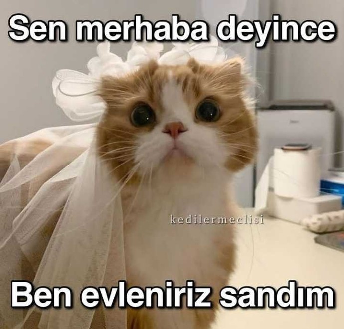Karşı cinsin selamından ümitlenen taraf kadınlar mı, erkekler midir?